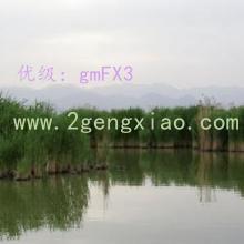 λ