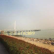 ҵ